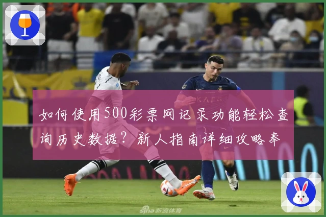 如何使用500彩票网记录功能轻松查询历史数据？新人指南详细攻略奉上