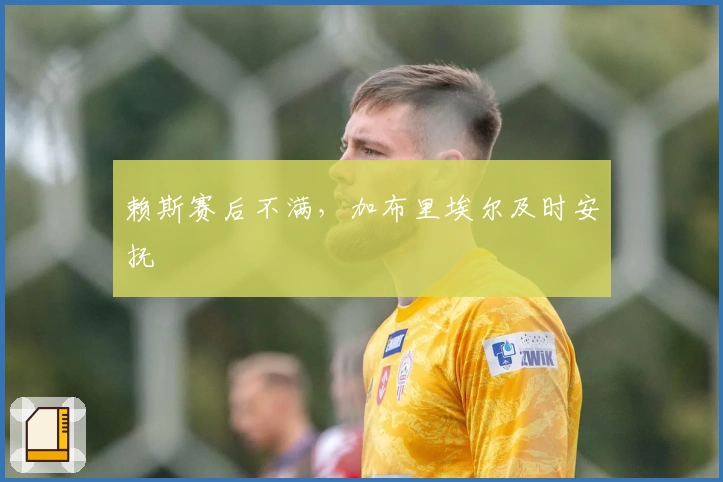 赖斯赛后不满，加布里埃尔及时安抚