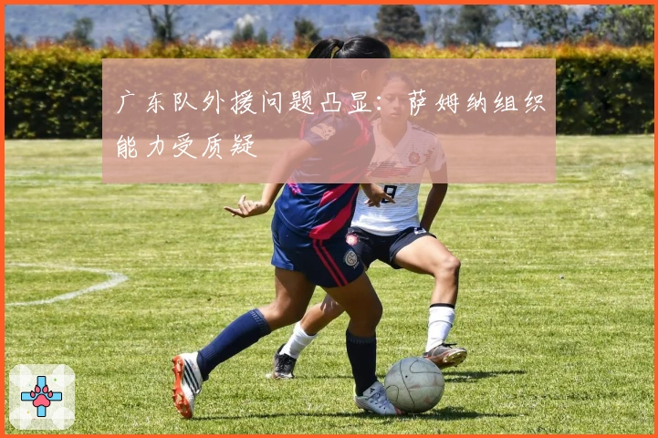 广东队外援问题凸显：萨姆纳组织能力受质疑