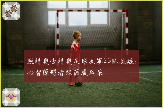 残特奥会特奥足球决赛23队竞逐，心智障碍者绿茵展风采