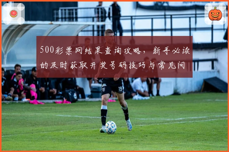 500彩票网结果查询攻略,新手必读的及时获取开奖号码技巧与常见问题解答